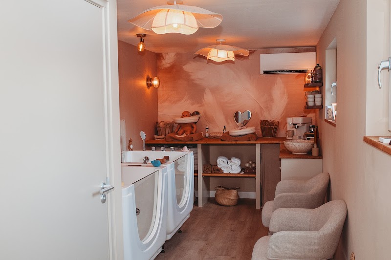Veer’s Babyspa