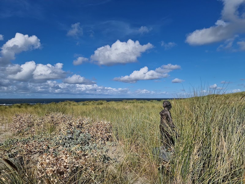 WellCome Wellness - Vlieland - Foto 7