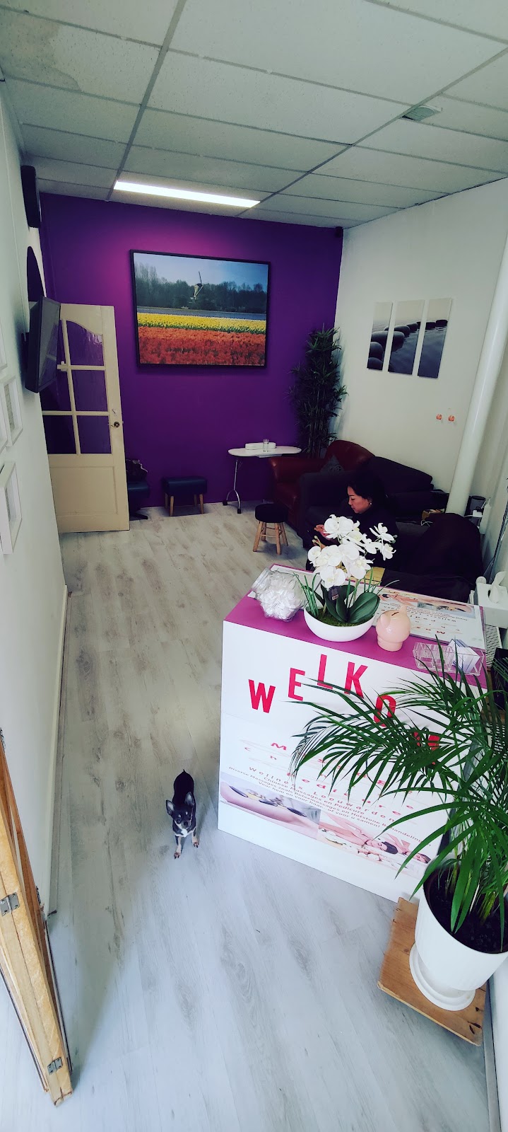 Wellness Leeuwarden Chinese Massage en Pedicure - Foto 8