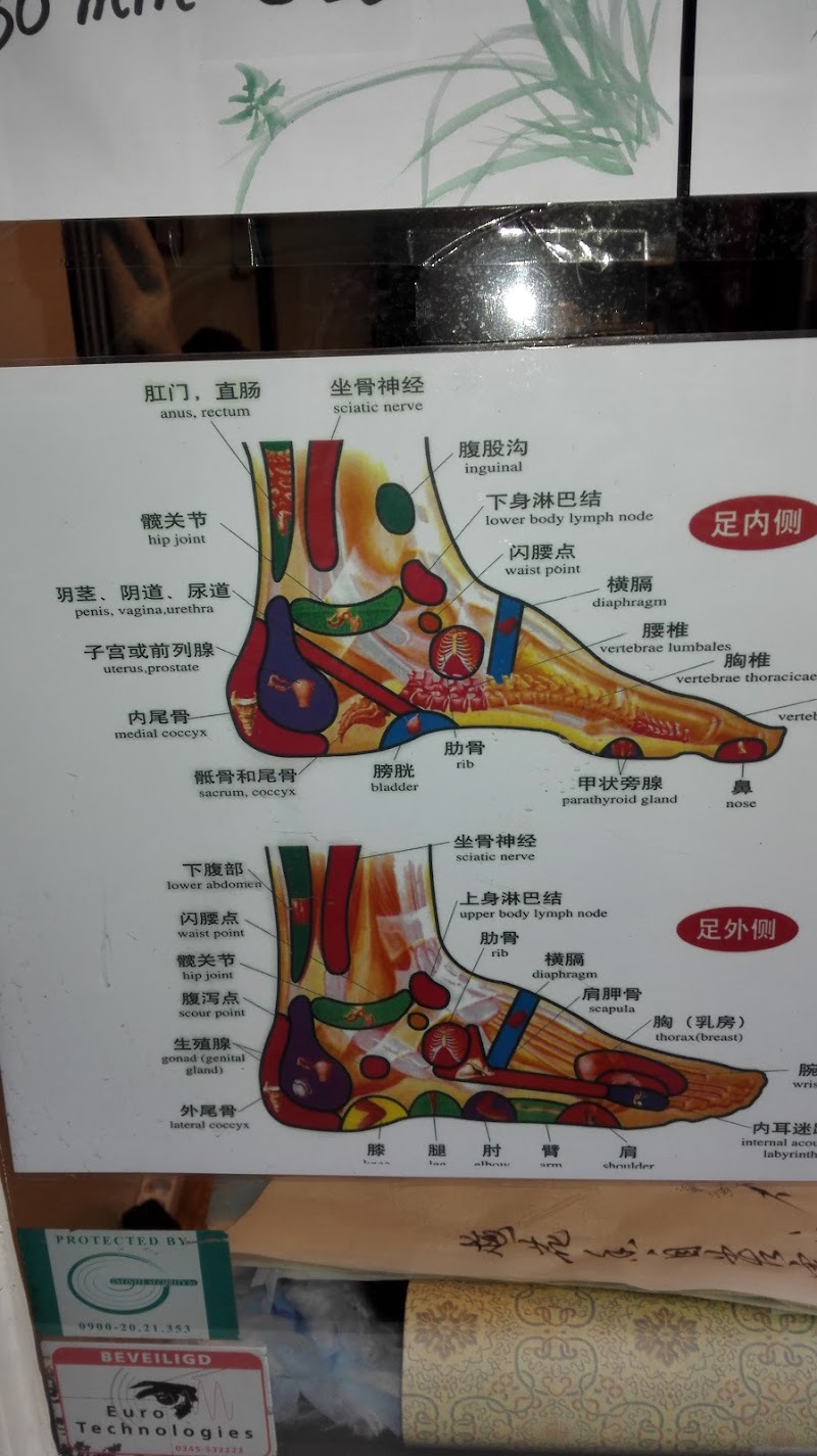 Xian Massage - Foto 4