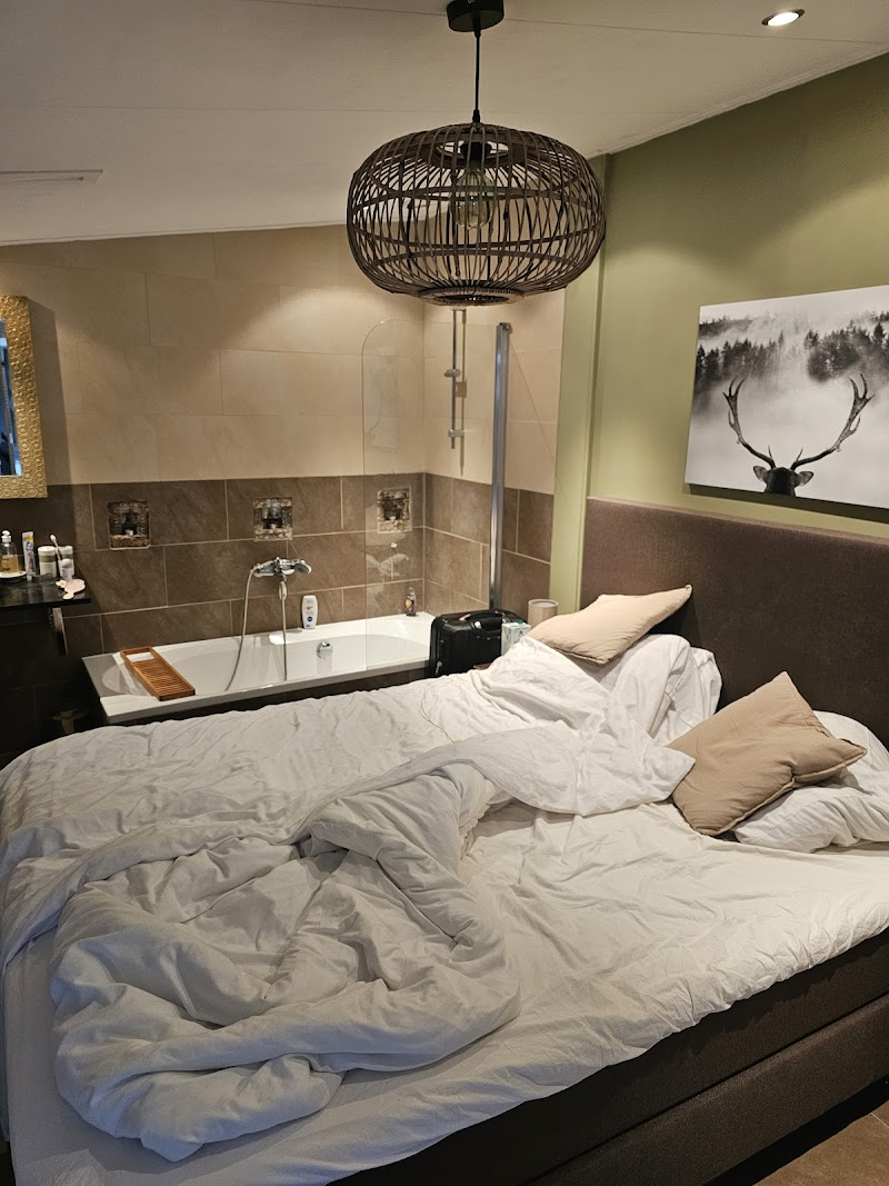 Zeeland Wellness - Foto 2