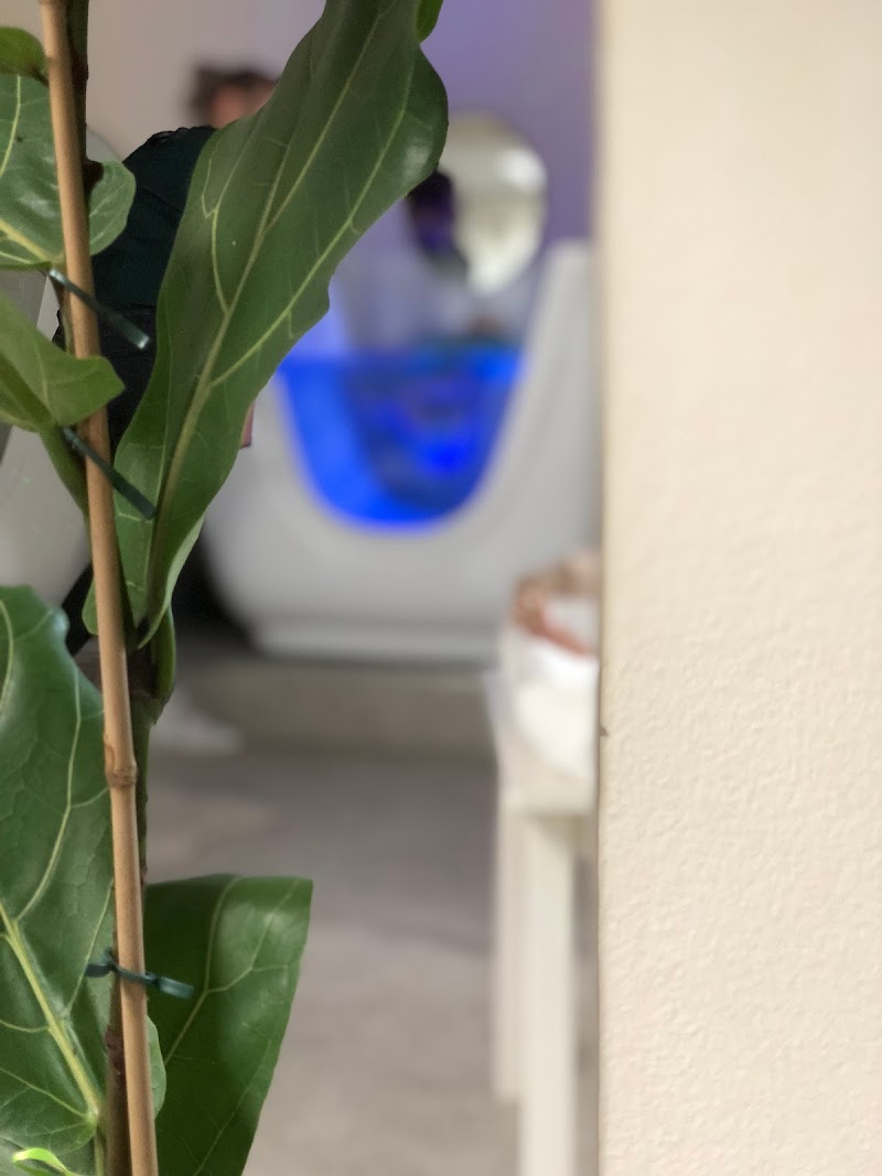ZEN - Foto 10