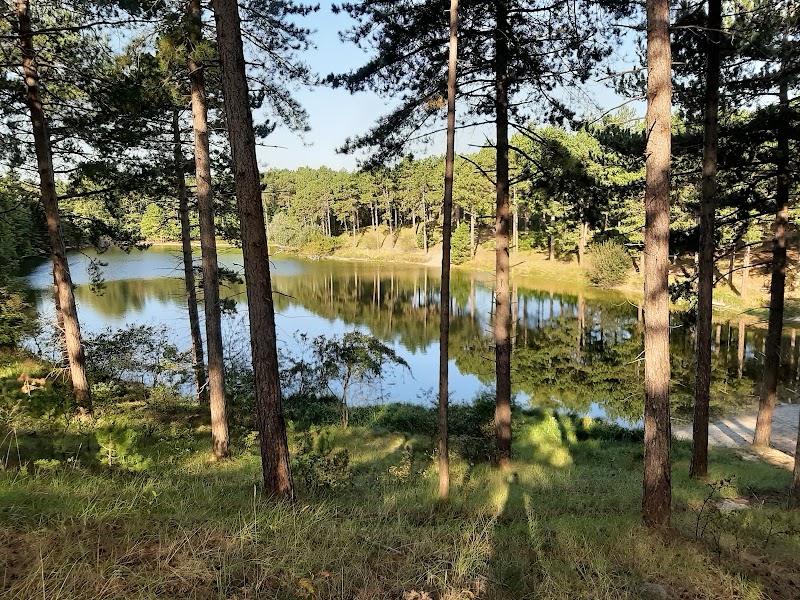 Zopuur - Foto 6