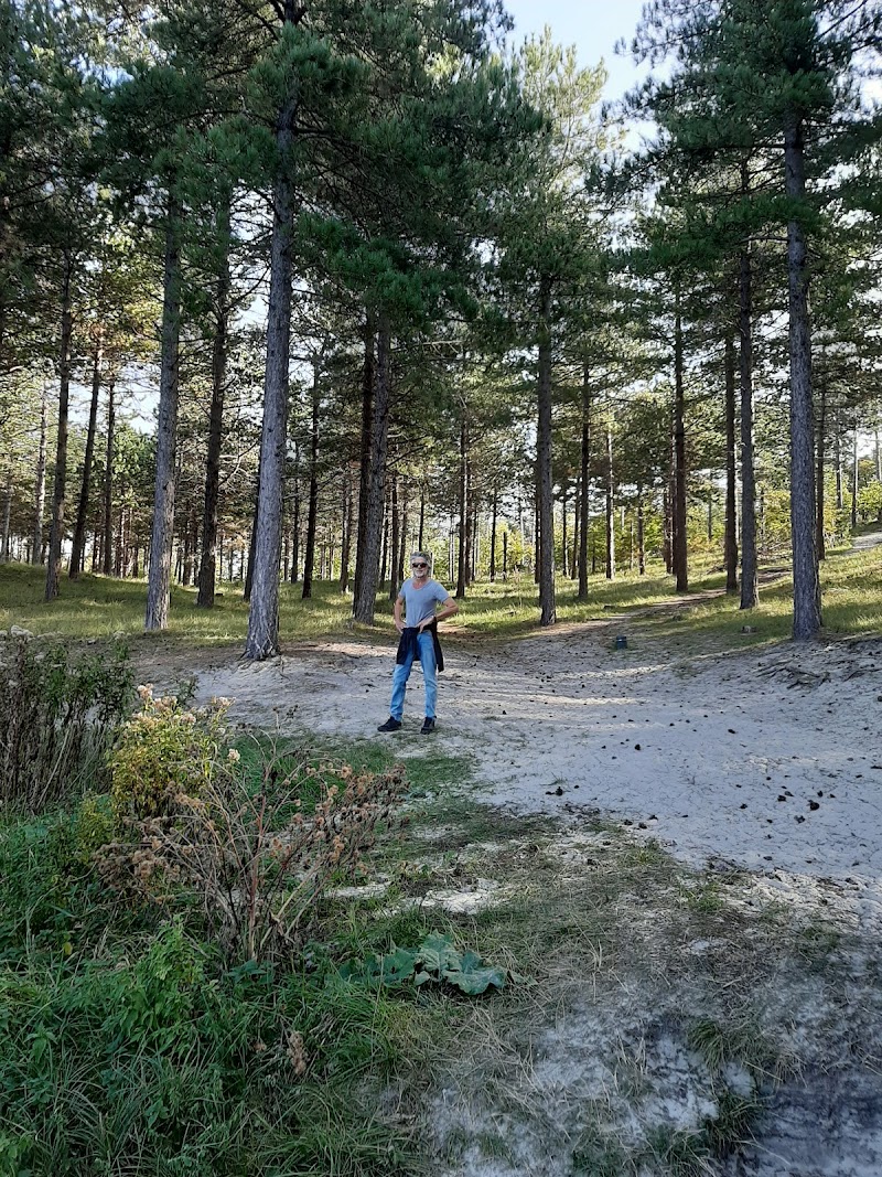 Zopuur - Foto 5